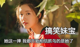 娱乐圈搞笑吃瓜小说推荐,笑料百出，瓜田乱舞，明星们的欢乐喜剧